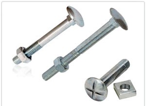 Cup Square Bolt Nut