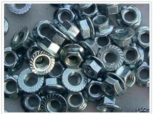Flange Nuts