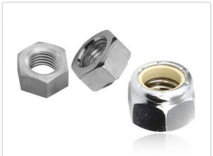 Hex Head Nut, Nylock Nut